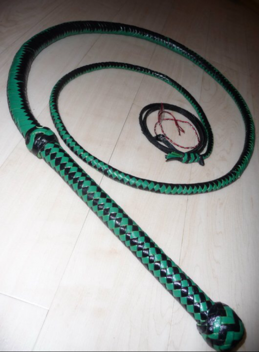 Bullwhip