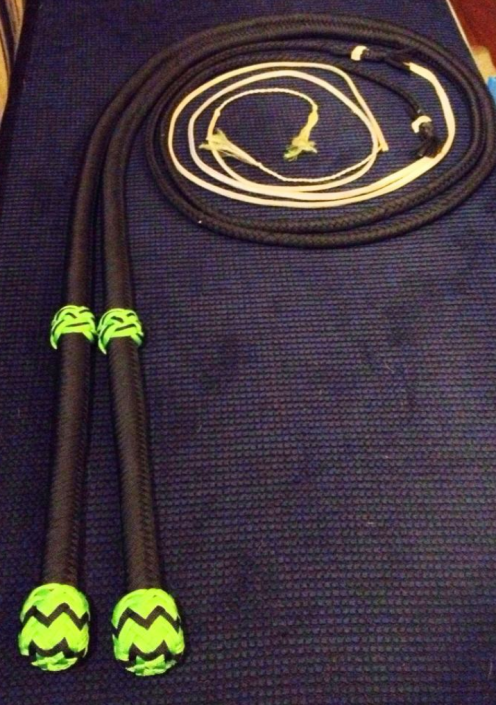 Bullwhip
