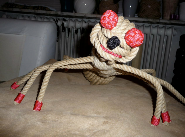Spinne